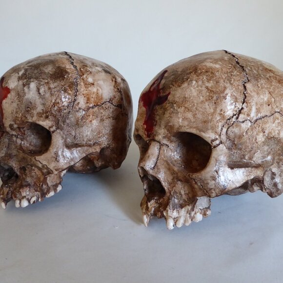 NEW ARTISAN HANDCRAFTED REALISTIC LIFE SIZE HUMAN SKULLS HALLOWEEN PROP ODDITY - Picture 10 of 16